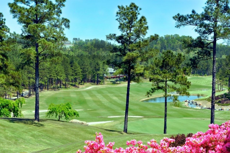 Many active adult communities are located along or near golf courses.