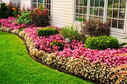 How to Maximize a Small Yard Space