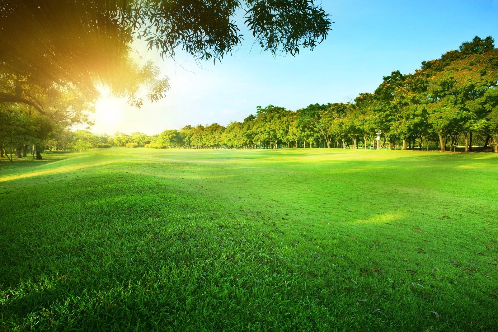 With more demand for green spaces, builders are starting to opt out for golf course and include more parks.