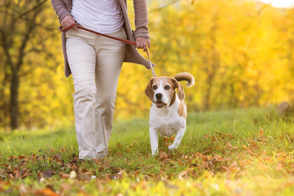 Great Part-time Jobs for Active Adults in 2018