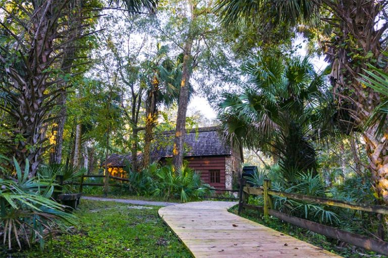 5 Things to Do in Ocala, Florida