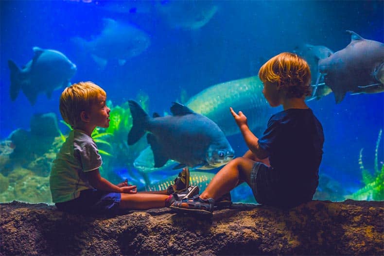 Fun Activities to Do With Your Grandkids in New Jersey