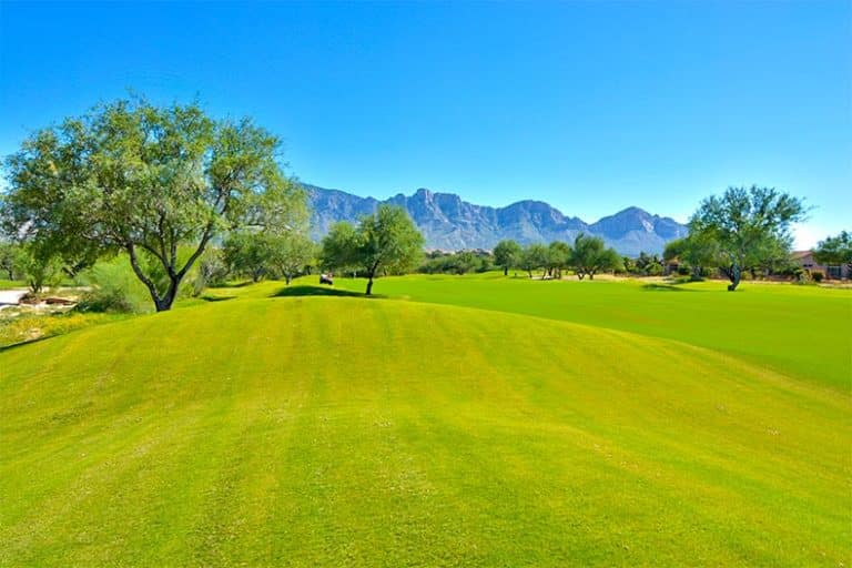 The golf course at Sun City Oro Valley in Oro Valley, Arizona on a sunny day.