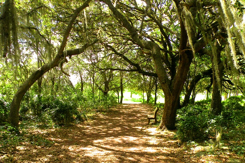 The 55+ Communities of Summerfield, FL