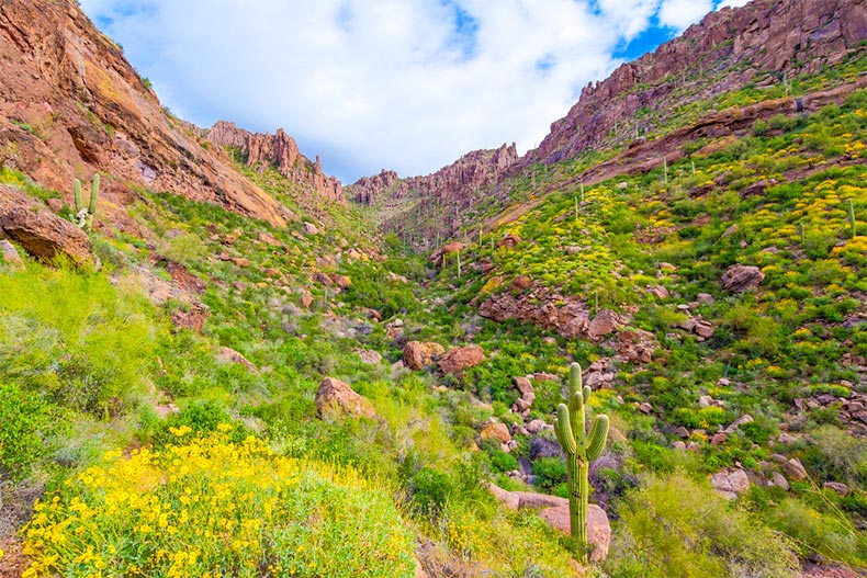 Exploring the 55+ Communities of Apache Junction, Arizona