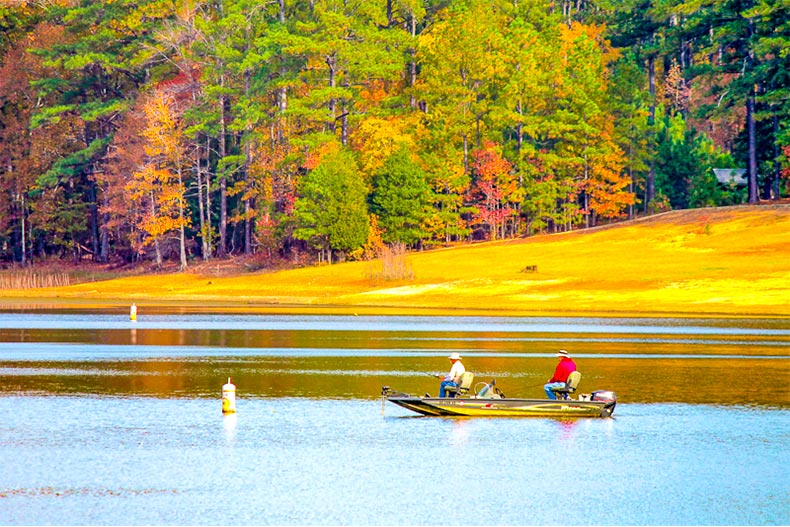 The Best 55+ Communities For Downsizing in Columbia, SC