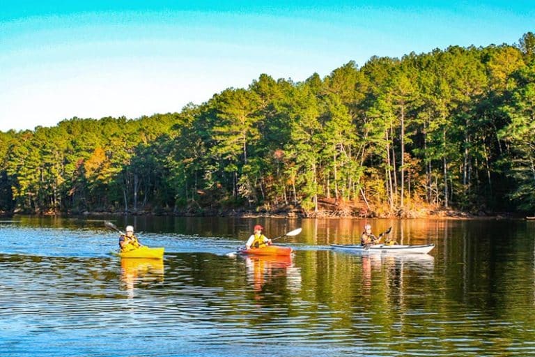 Best 55 Plus Communities In South Carolina