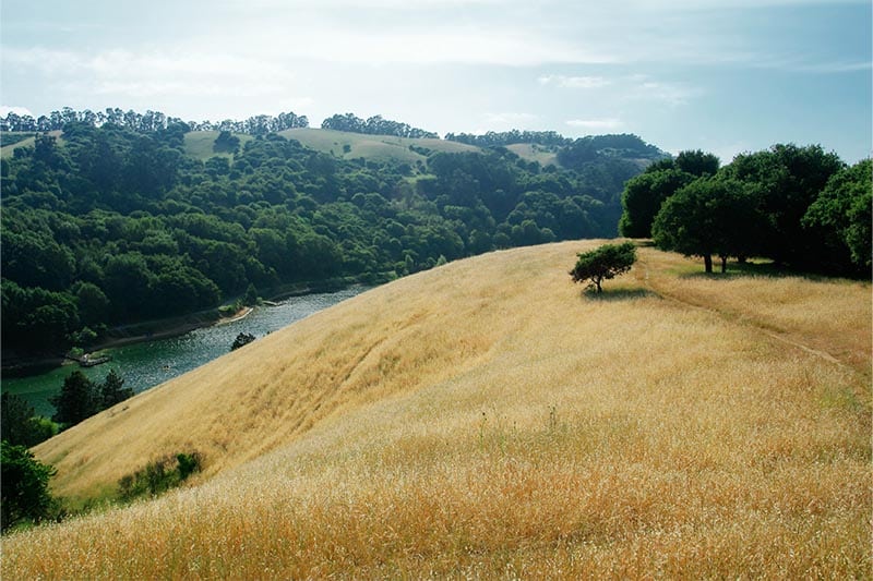 Overhead view of Anthony Chabot Park in the Bay Area.