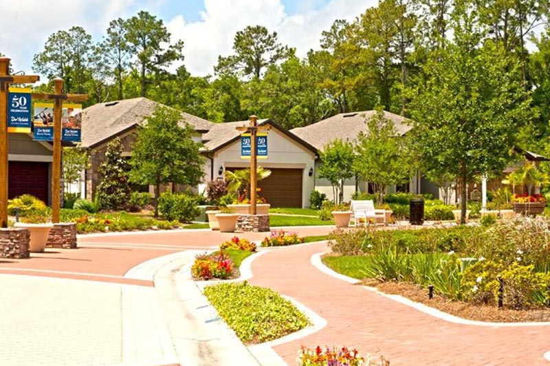 Greenery along a residential street in Del Webb Ponte Vedra, a 55+ community in Ponte Vedra, Florida.
