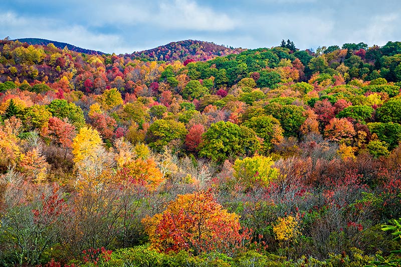 Graveyard Fields on the Blue Ridge Parkway in autumn in North Carolina.