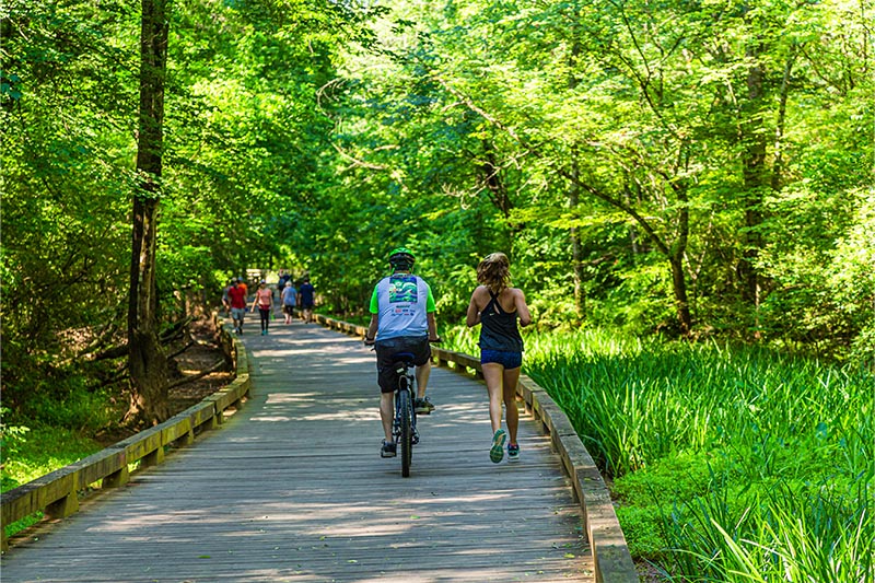 People jogging, walking & riding bikes on a wooden trail in the wetlands and woods.