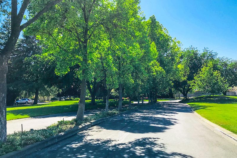 Communities Without Age Restrictions in the Sacramento Area 55places