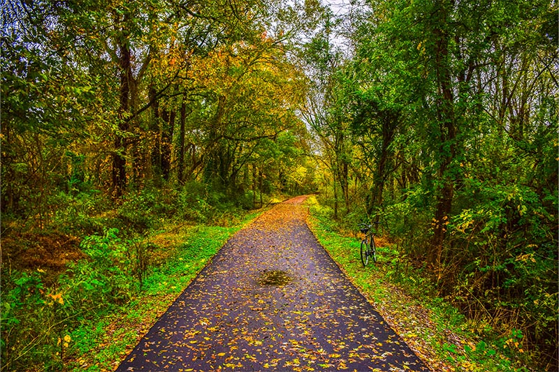 Greenville, SC Swamp Rabbit trail in autumn.