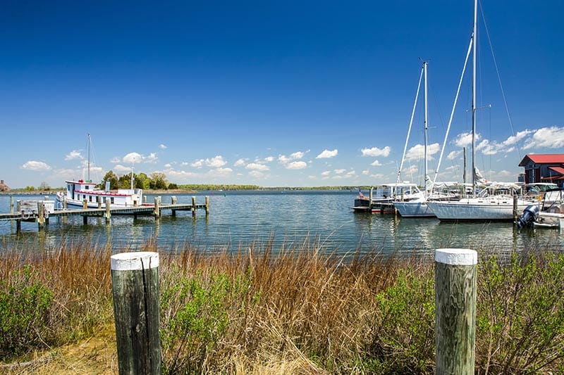 Small Chesapeake Bay marina with boats tied to the pier.