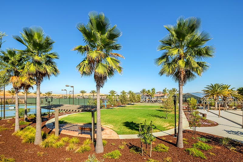 Palm trees and sports courts on the grounds of Heritage El Dorado Hills in Heritage El Dorado Hills, California.