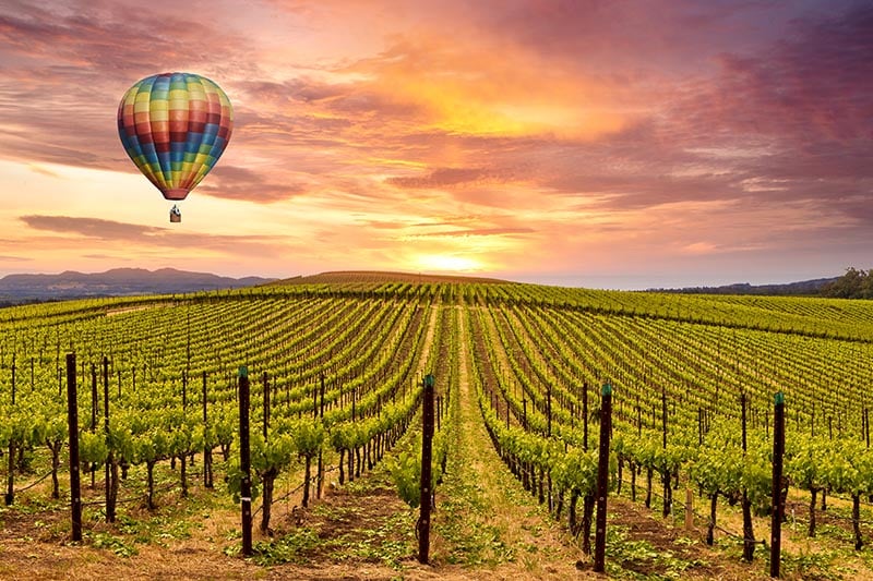 Hot air balloon floating over vineyards near Santa Rosa, California