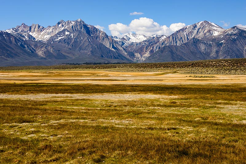 Dry grass mountain plain with snowcapped Sierra Nevada Mountains in the background.