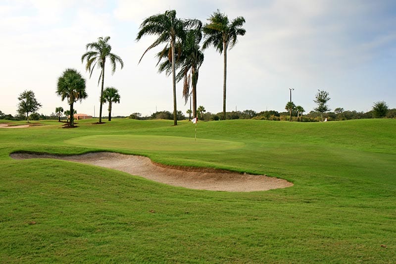 Golf course green and sand trap with palm trees in the background.