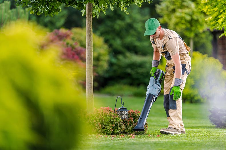 Gardener cleaning a backyard garden using a modern electric cordless leaf blower.