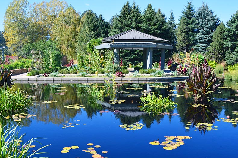 A pond in the botanical garden in Denver, Colorado.