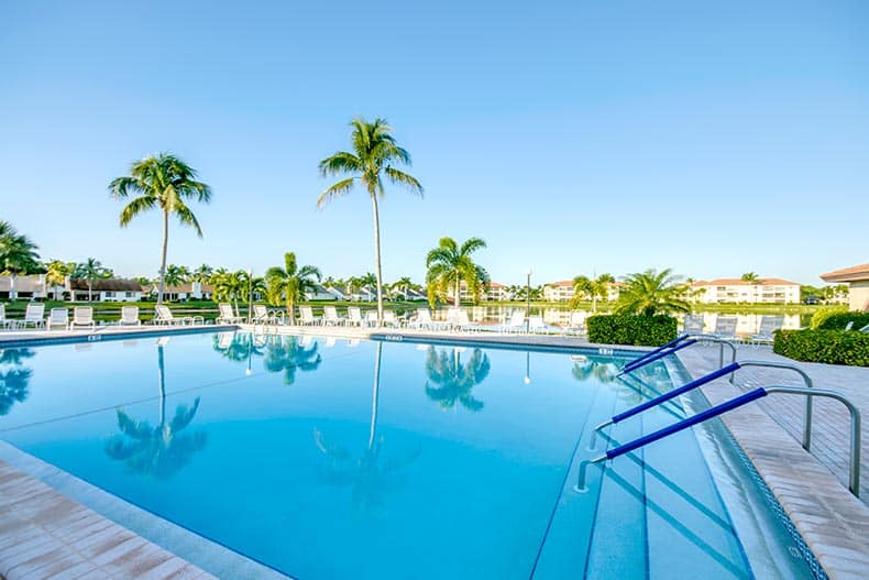 Palm trees around the outdoor pool at Cinnamon Cove in Fort Myers, Florida.