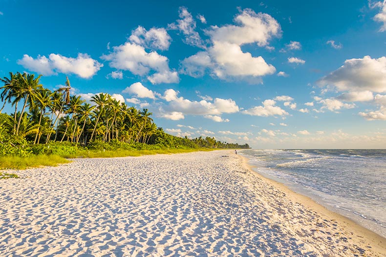 Evening light at the beach in Naples, Florida.