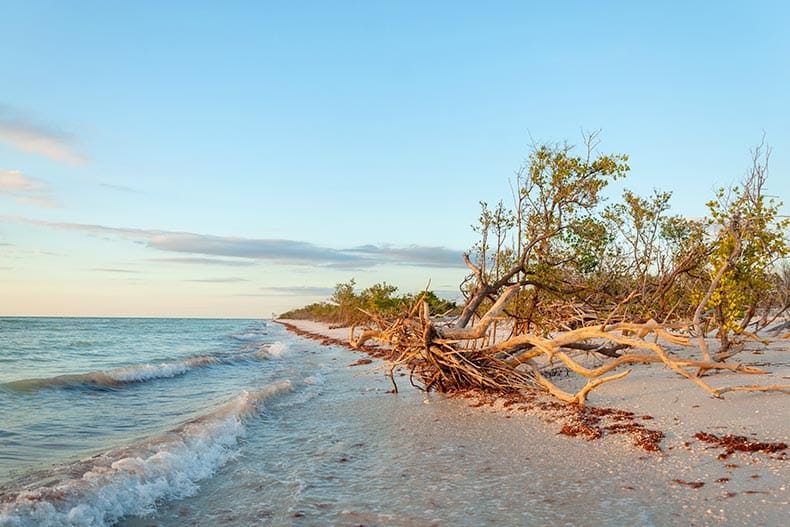 A sunset over the beach at Honeymoon Island State Park in Tampa, Florida.