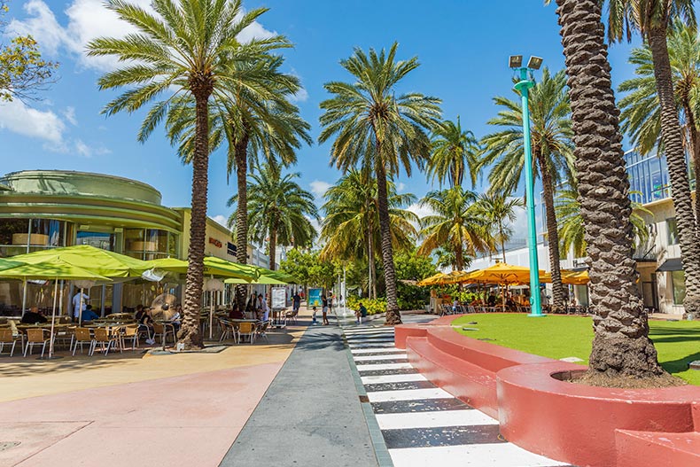 Palm trees surrounding outdoor cafes at Miami South Beach.