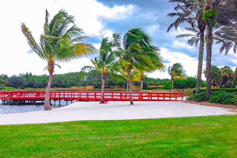 Palm trees beside a dock at Pelican Preserve in Fort Myers, Florida.