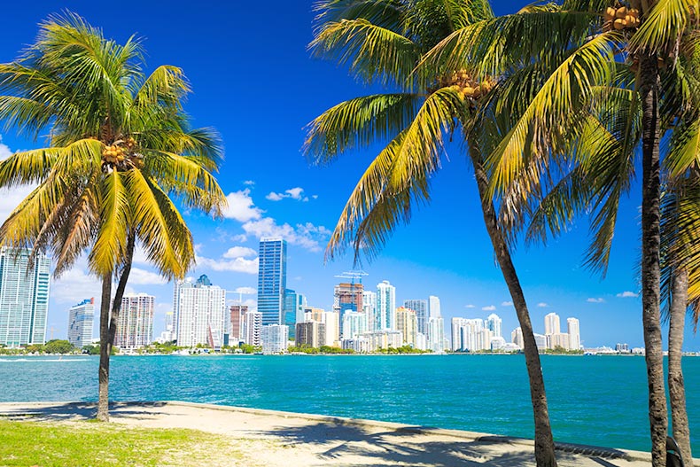 Palm trees framing a skyline view of Miami, Florida.