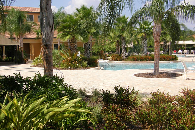 Palm trees beside the outdoor resort-style pool at Southshore Falls in Apollo Beach, Florida.