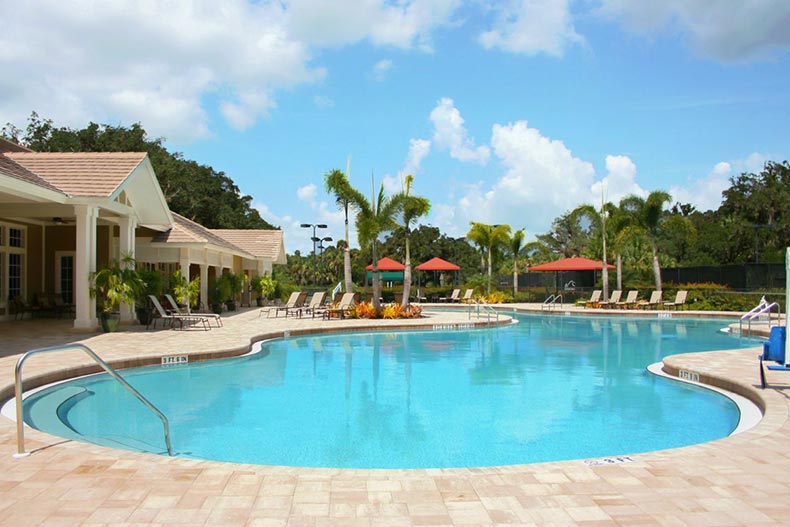 Palm trees and lounge chairs surrounding the outdoor pool at Verandah in Fort Myers, Florida.