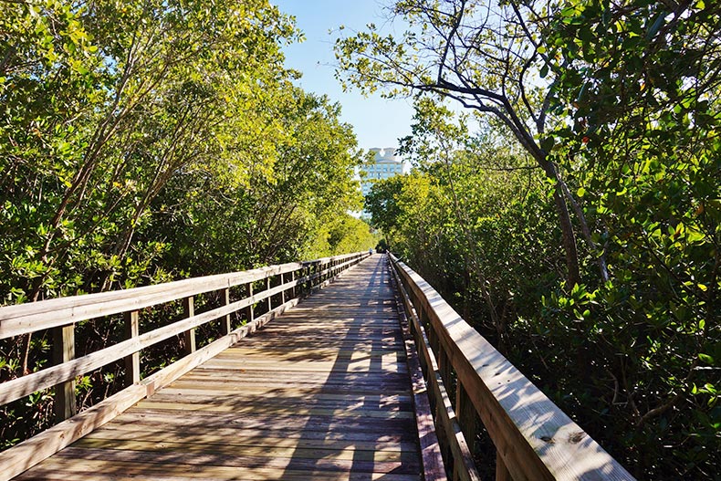 A wooden path through the mangrove at the Hyatt Regency Coconut Point Resort and Spa in Estero Bay in Bonita Springs, Florida.