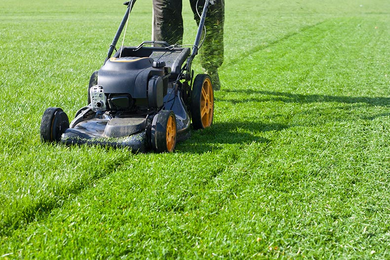 A landscaping worker mowing a lush lawn.