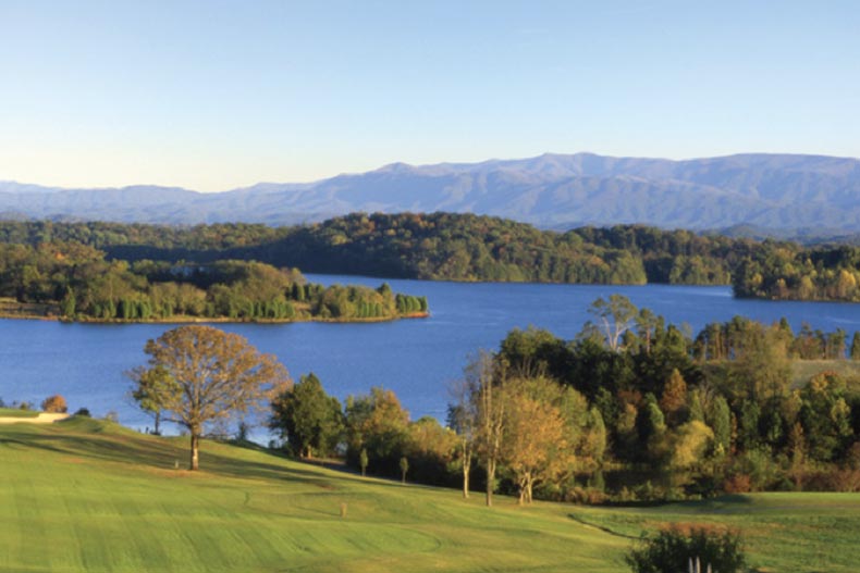 Trees surrounding a lake on the grounds of Rarity Bay in Vonore, Tennessee.