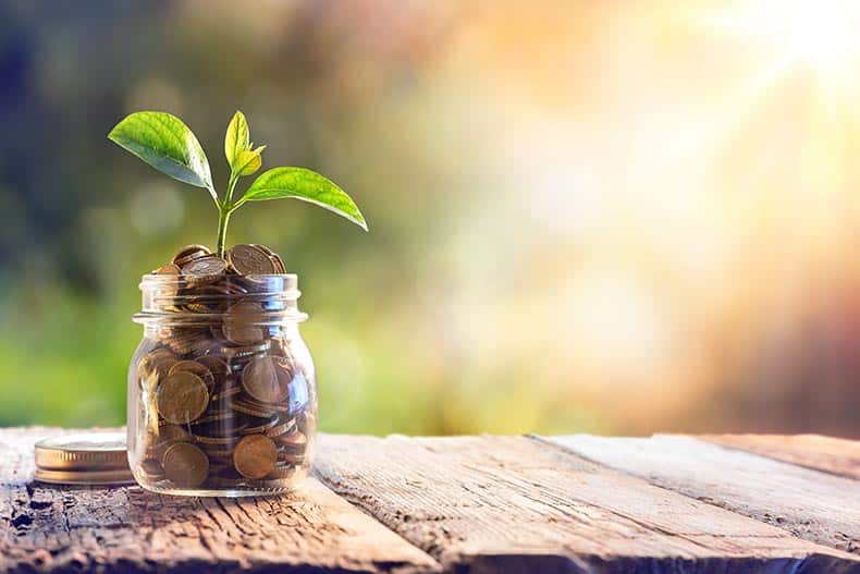 A jar of coins growing a green sprout.