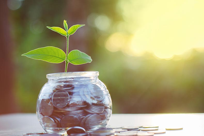 A green sprout growing out of a jar of coins.