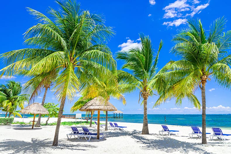 Lounge chairs beneath palm trees on a beach in Cancun, Mexico.