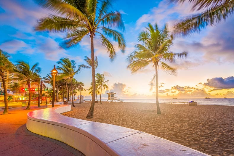 Palm trees on the beach in Fort Lauderdale Beach, Florida.