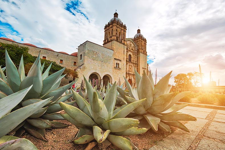 Sunset view of the Santo Domingo Cathedral in the historic Oaxaca City in Mexico.