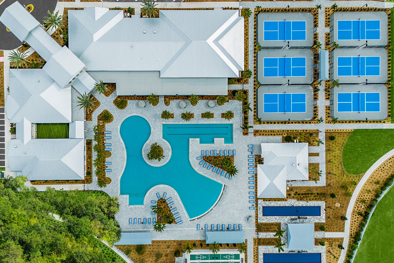 Angeline - Land O'Lakes, FL