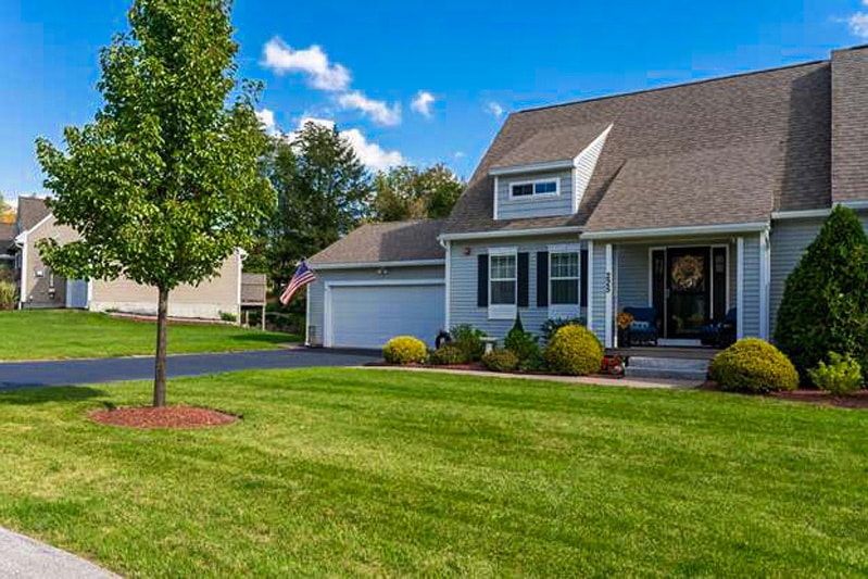 Little Mill Woods - Sandown, NH