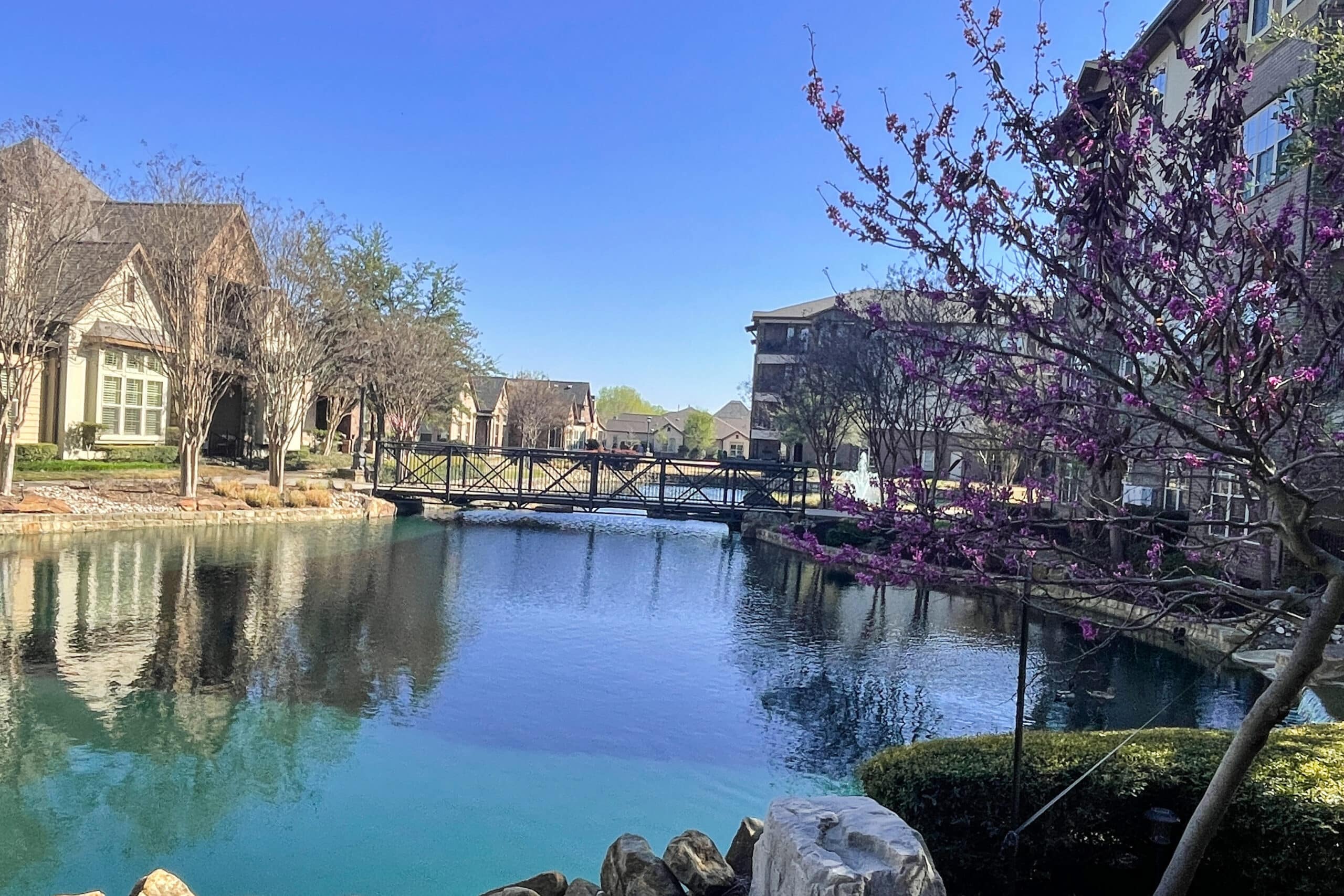 Scenic Pond & Bridge