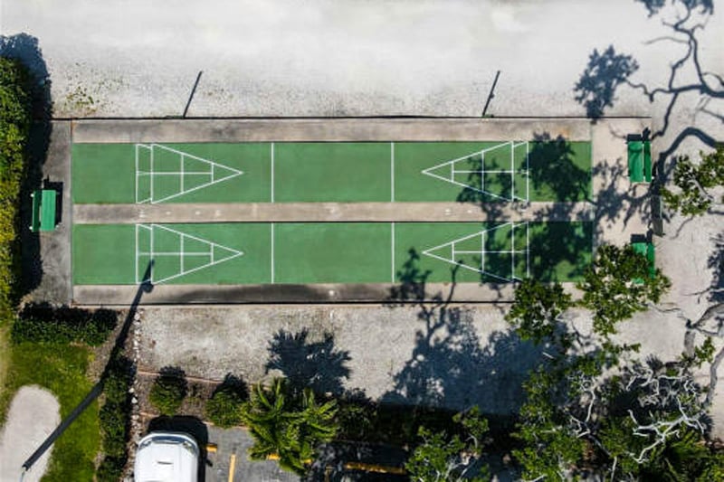 Shuffleboard