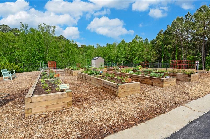 Community Garden