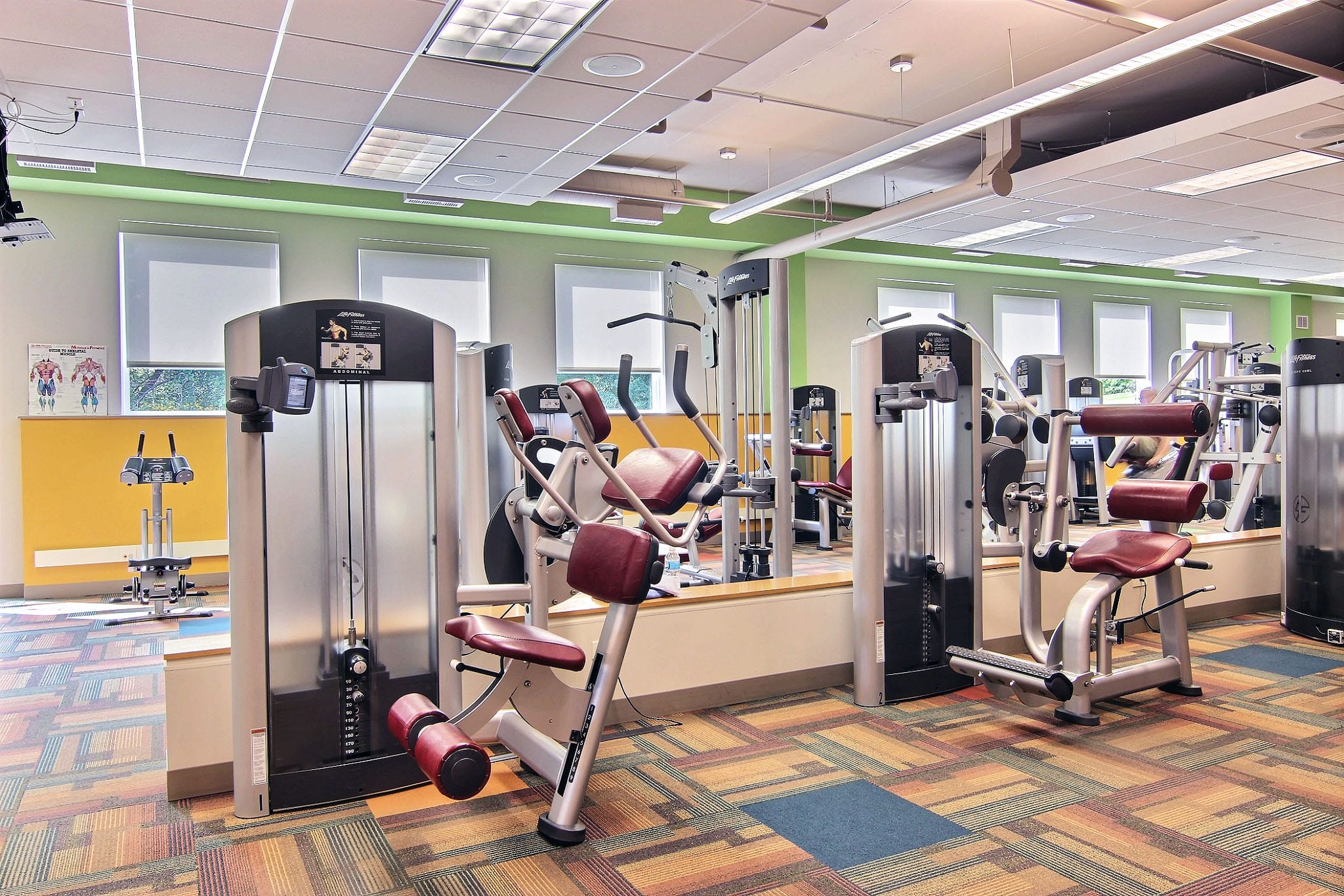 Fitness Center Strength Training Equipment