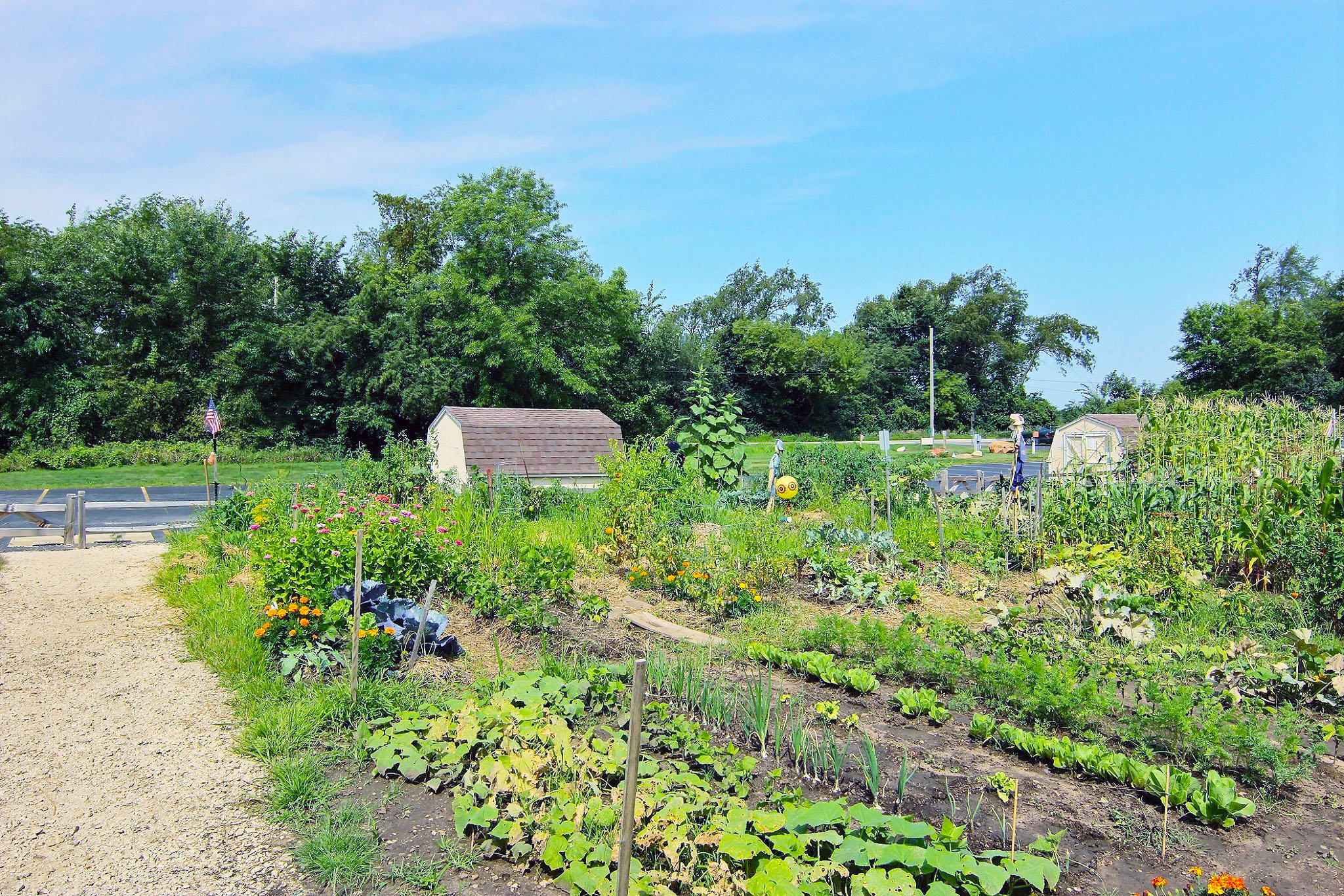 Gardening Plots