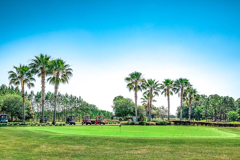 Golf carts on the golf course at Stone Creek in Ocala, Florida.