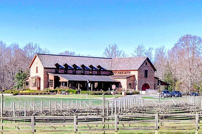 The vineyards on the grounds of The Groves at New Kent in New Kent, Virginia.