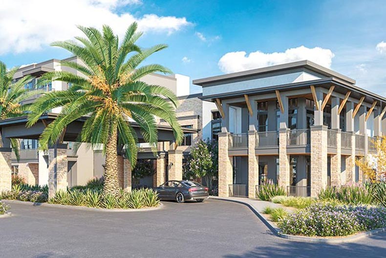 A palm tree beside the entrance to Sage Mesa, a 55+ apartment community in Arizona.